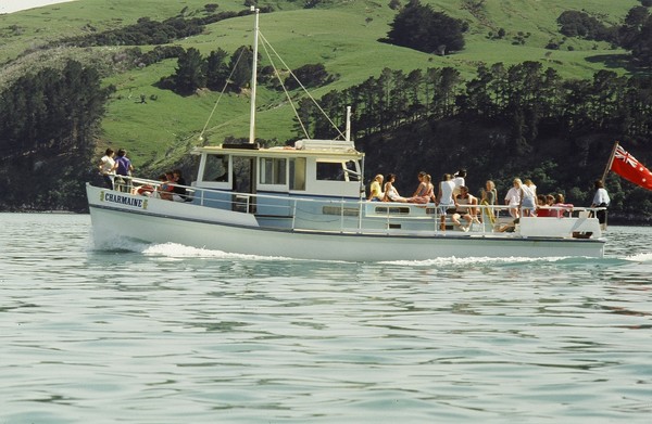 Original Black Cat Cruises vessel the Charmaine cruising in the companys first year of operation, 1985. The company will have a passenger from its first cruise when it celebrates 25 years in business tomorrow on Akaroa Harbour.